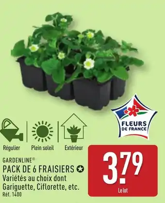 ALDI GARDENLINE® Pack de 6 fraisiers offre