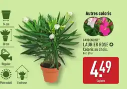 ALDI GARDENLINE® Laurier rose offre