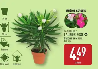 ALDI GARDENLINE® Laurier rose offre