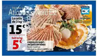 Coquilles Saint-jacques Entières
