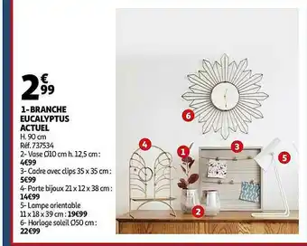 Auchan 1-branche Eucalyptus Actuel offre