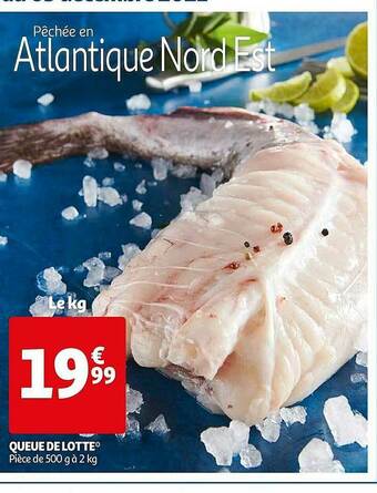 Auchan Queue De Lotte offre