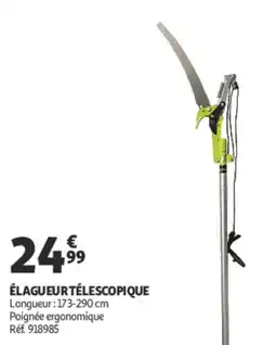 Auchan Élagueurtélescopique offre