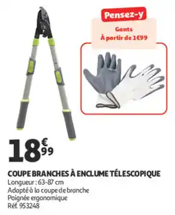 Auchan Coupe branches à enclume télescopique offre