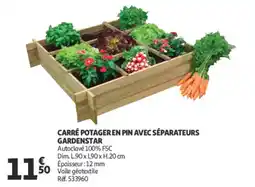 Auchan Carré potager en pin avec séparateurs gardenstar offre