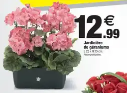 Bazarland Jardinière de géraniums offre