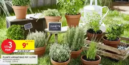 Intermarché Plante aromatique pot 1 litre offre