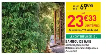 RAGT Jardin & Maison Bambou de haie offre