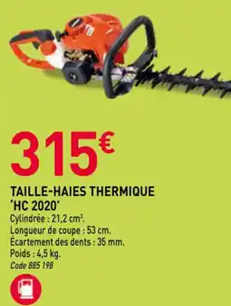 RAGT Jardin & Maison ECHO Taille-haies thermique offre