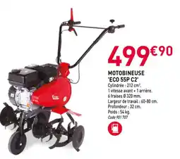 RAGT Jardin & Maison Motobineuse 'eco 55p c2' offre