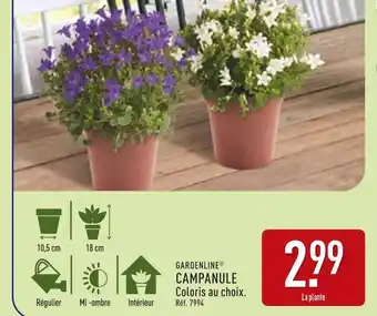 ALDI GARDENLINE Campanule offre