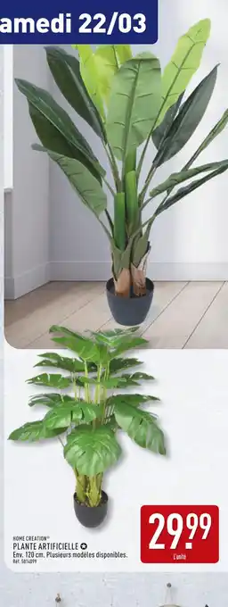 ALDI HOME CREATION Plante artificielle offre