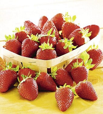 Casino Supermarchés Fraise offre