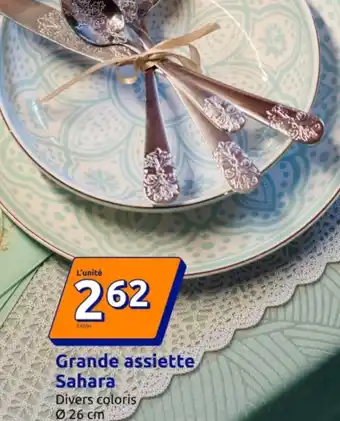 Action Grande assiette Sahara offre