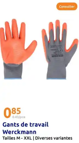 Action Gants de travail Werckmann offre