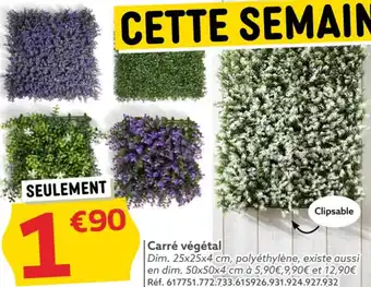 Gifi Carré végétal offre