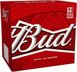 Match Bud bière blonde offre