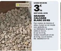 Brico Dépôt Gravier calcaire blanc offre