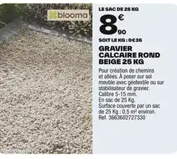 Brico Dépôt Gravier calcaire rond beige offre