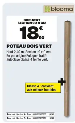 Brico Dépôt Poteau bois vert offre