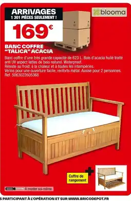 Brico Dépôt Banc coffre offre