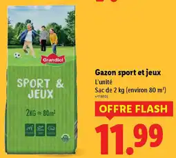 Lidl Gazon sport et jeux offre