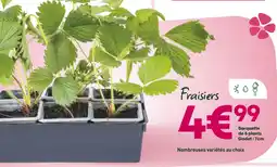 Ma Jardinerie Fraisier offre