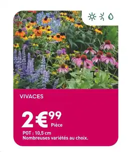 Ma Jardinerie Vivaces offre