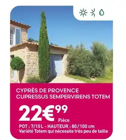 Ma Jardinerie Cyprès de Provence offre