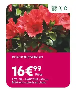 Ma Jardinerie Rhododendron offre