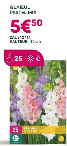 Ma Jardinerie Glaieul Pastel Mix offre