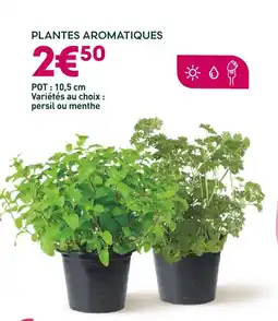 Ma Jardinerie Plantes Aromatiques offre