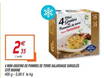 Netto 4 Mini-Gratins De Pommes De Terre Salardaise Surgelès Citè Marine offre