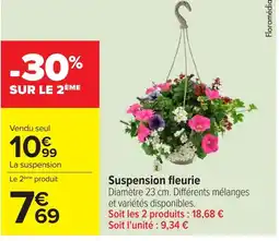 Carrefour Suspension fleurie offre