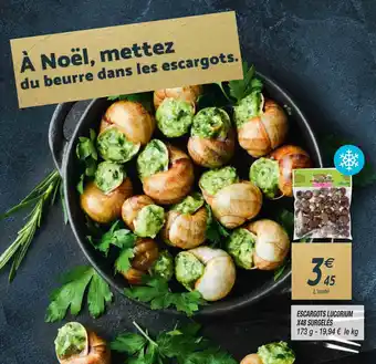 Escargots Lucorium X48 Surgelès