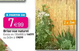 Kandy 3m - brise-vue naturel offre