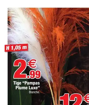 Tige "Pampas Plume Luxe"