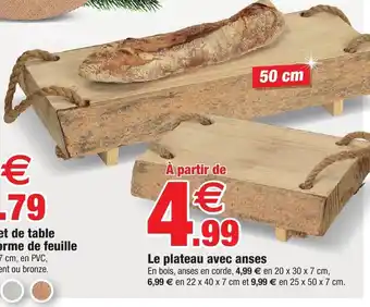 Bazarland Le Plateau Avec Anses offre