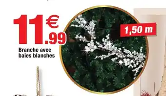 Bazarland Branche Avec Baies Blanches offre