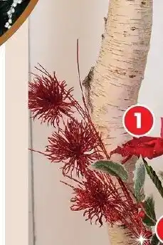 La Tige Poinsettia