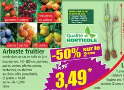 Norma Arbuste fruitier vendu dans un sac en toile de jute offre