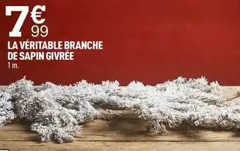 Centrakor La véritable branche de sapin givrée offre