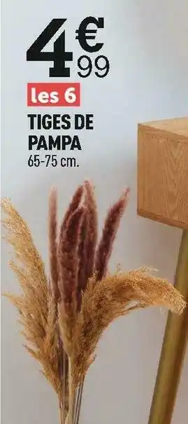 Centrakor Tiges de pampa offre