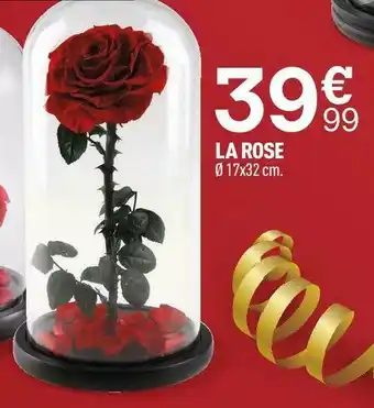 La rose