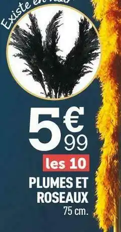 Plumes et roseaux