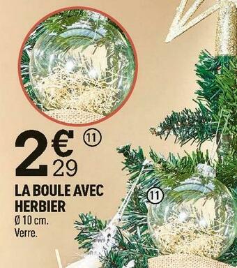 Centrakor La boule avec herbier offre