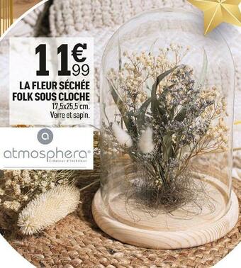 Centrakor Atmosphera la fleur séchée folk sous cloche offre