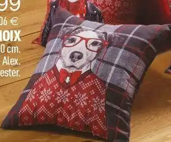 Centrakor Le coussin au choix offre