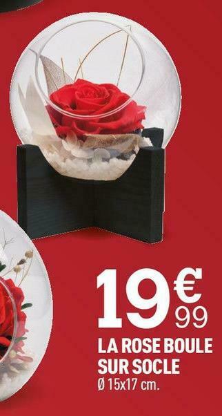 Centrakor La rose boule sur socle offre
