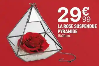 Centrakor La rose suspendue pyramide offre